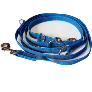 Ant-Slip Hundeleine für große Hunde verstellbar blau